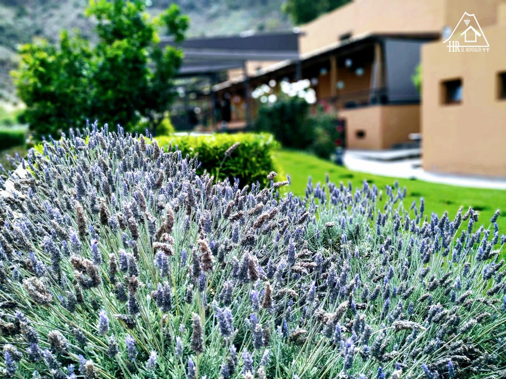 Hotel Rural El Mondalon Las Palmas de Gran Canaria Bagian luar foto